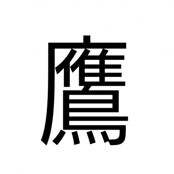 bird(用知識)